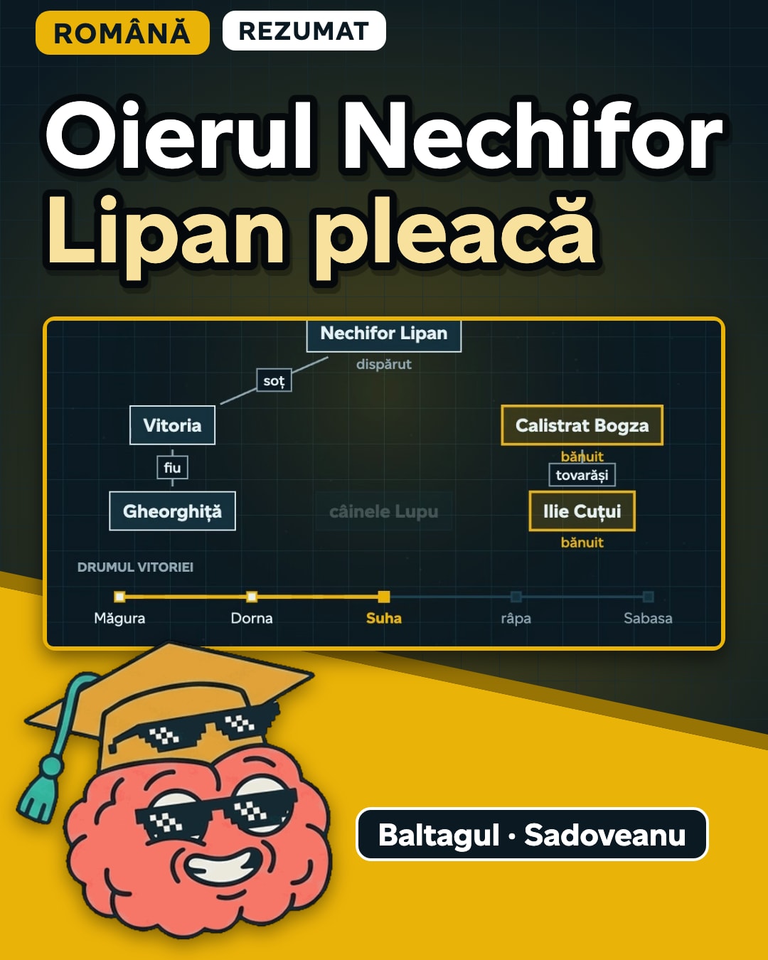 Miniatura clipului: Baltagul, toată opera, pe scurt: de la dispariția lui Nechifor la dreptatea făcută de Vitoria.