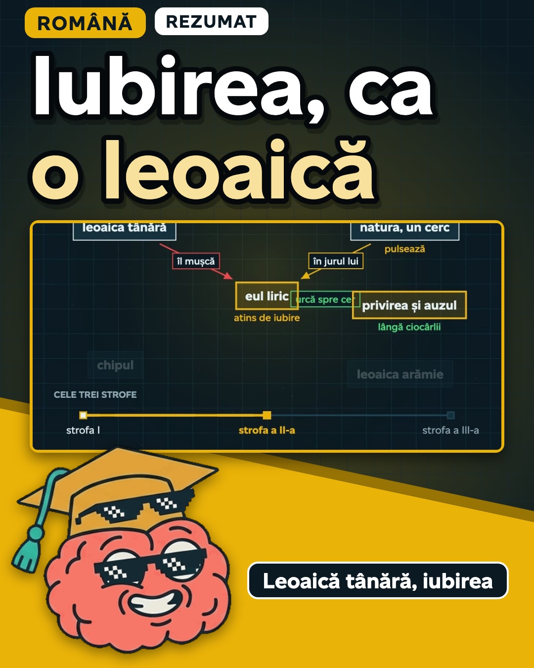Miniatura clipului: Leoaică tânără, iubirea, toată poezia, pe scurt: cum schimbă iubirea lumea și chipul îndrăgostitului.